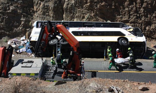 Twenty-nine killed in South Africa bus accident: government