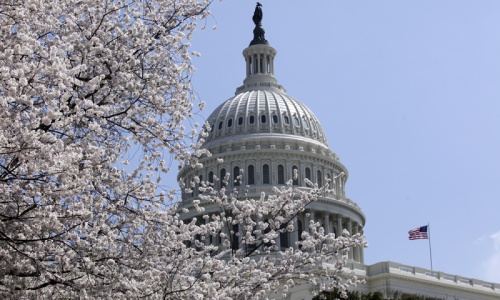US sets benchmarks: Release Afridi or forego $33 million