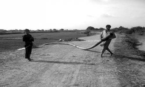 Famine-like situation in Thar after severe drought