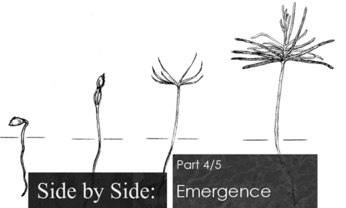 Side by Side - part 4/5: Emergence
