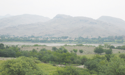 The Ghosts and the Darkness: Under the spreading apricot tree