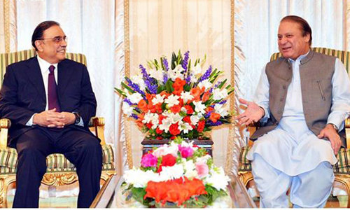 Lunch in Raiwind: 'Zardari fully supports PM Nawaz'