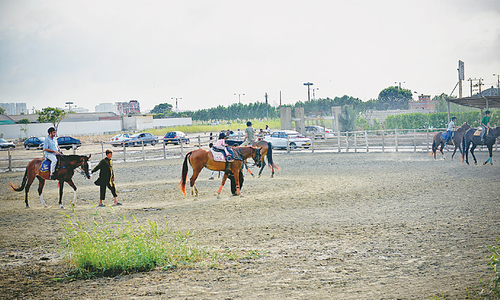 KGS plans to develop park on amenity plot with restricted entry