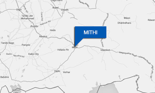 Two pilgrims among three killed in Mithi road accident