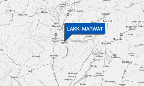 Crane hunting banned in Lakki Marwat