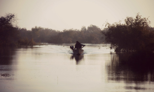 Chotiari Dam: A rare ecosystem that must be protected