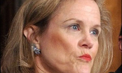 Veteran US diplomat and Pakistan expert under investigation