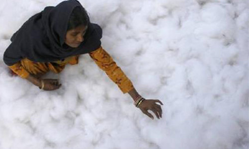 Cotton prices slide further