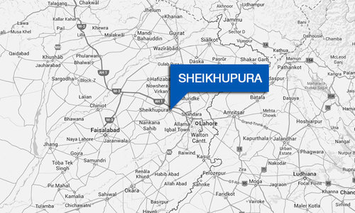 Donkey meat meant for Lahore seized Donkey meat meant for Lahore seized