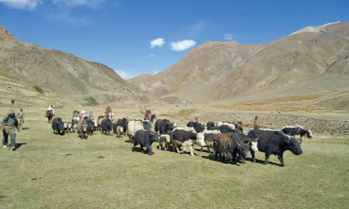 Baroghil the valley of hardships