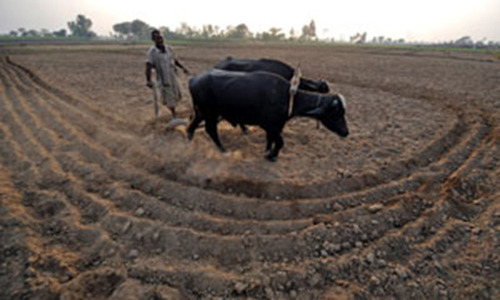 Footprints: Ignoring climate change Footprints: Ignoring climate change
