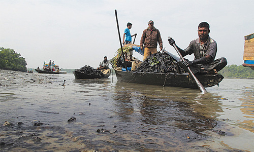 India on alert after oil spill in Sundarbans
