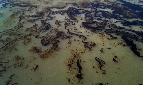 Bangladesh development &lsquo;threatens fragile Sundarbans&rsquo;