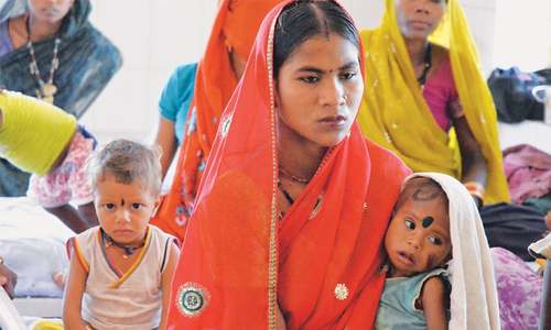 Feature: Hunger knows no borders