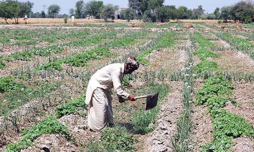 Agro industry urged to reach out to small farmers