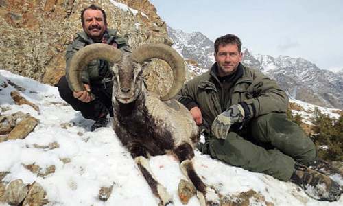 Italian man hunts blue sheep in Hunza