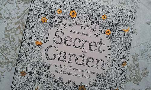Colouring books for adults top Amazon best-seller list