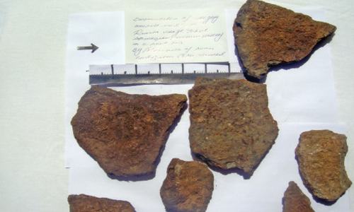 Antique gold statuette allegedly unearthed and stolen in AJK