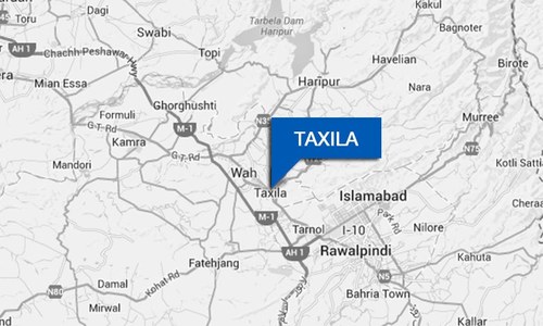 Unlikely allies in Taxila