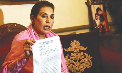 Fehmida hits out at PPP govt, fears for Dr Mirza&rsquo;s life