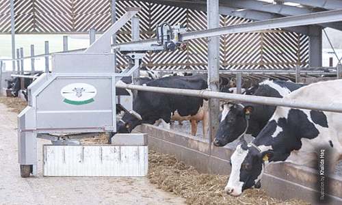 A modern dairy farm with a difference A modern dairy farm with a difference