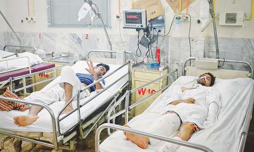 Over 1,000 people died in traffic accidents last year