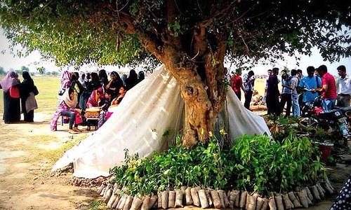 How many of Pakistan's 15 million Facebook users will plant a tree?