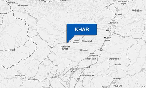 Fata orphans to get free education, healthcare: senator
