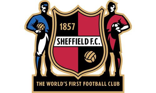 Qatar invests in English football through world's oldest team