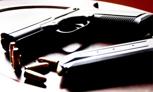 Interior minister announces ban on fresh arms licences Interior minister announces ban on fresh arms licences