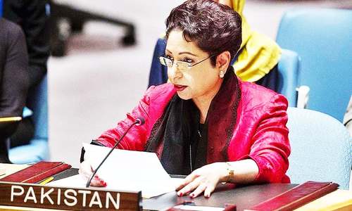 Pakistan decries flawed UNSC reform process Pakistan decries flawed UNSC reform process