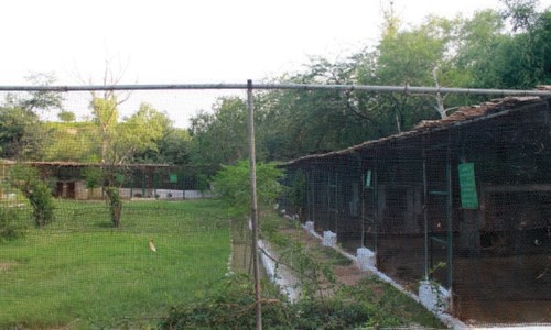 Three wildlife parks, but no zoo in Kohat Three wildlife parks, but no zoo in Kohat