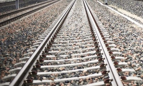 Over 40 goats overrun by train after policemen herded them on railway track