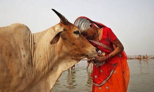 Footprints: The cattle rattle