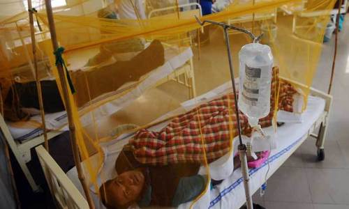 Dengue death toll rises to 10 in Rawalpindi