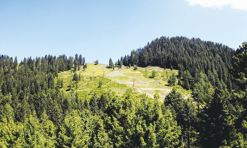 &lsquo;Forest cover cannot be raised to international standards&rsquo;