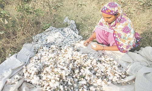 Presence of pesticides in farm produce