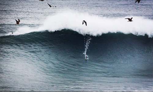 Shock as Aussie surf pro fights off shark attack in South Africa