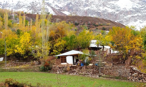 Footprints: Out in the cold