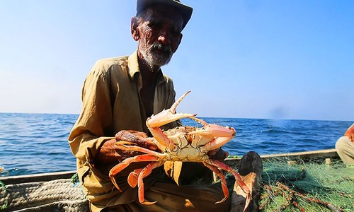 A Karachi fisherman's tale &mdash; In search of lobsters and livelihood