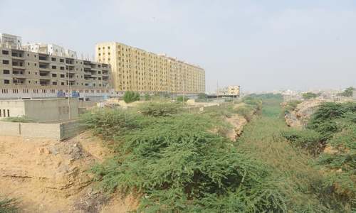 The destroying of nests