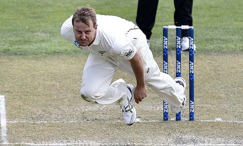 Oddball: Seagull, New Zealand bowler combine for 160kph delivery?