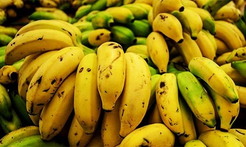 Mumbai police force-feed thief over 40 bananas in bid to retrieve gold chain