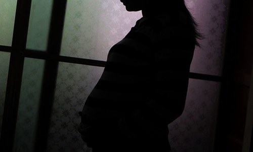 US issues travel warning for pregnant women