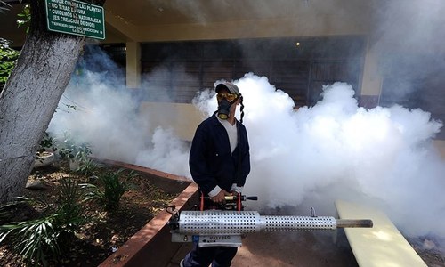 &lsquo;Pakistan must act now to prevent Zika epidemic&rsquo;