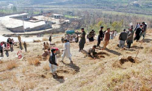 Plantation drive kicks off in Dir, Shangla Plantation drive kicks off in Dir, Shangla