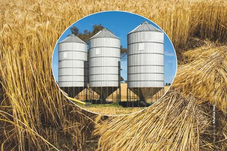 Bleak outlook for wheat exports