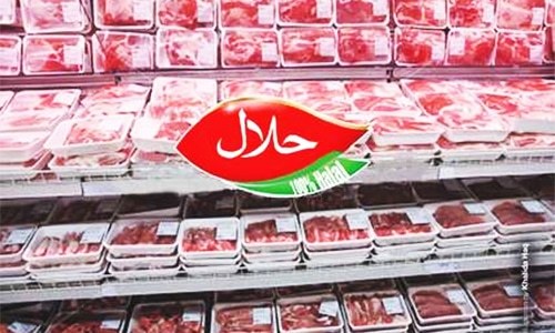 Institutional anomalies in halal trade