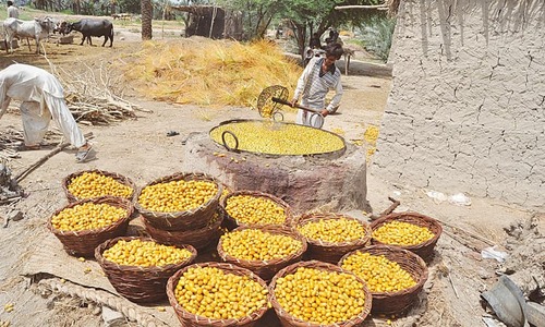 Need to upgrade date processing in Sindh