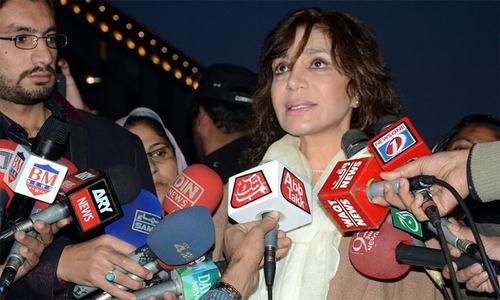 Panama Leaks: opposition solicits Tehmina&rsquo;s support